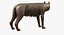 Capitoline Wolf(1)