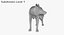 Capitoline Wolf(1)