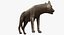 Capitoline Wolf(1)