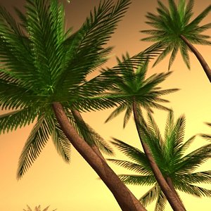 palm beach max