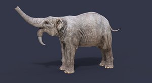 3D nature animal dinosaur