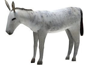 3d model donkey animal horse
