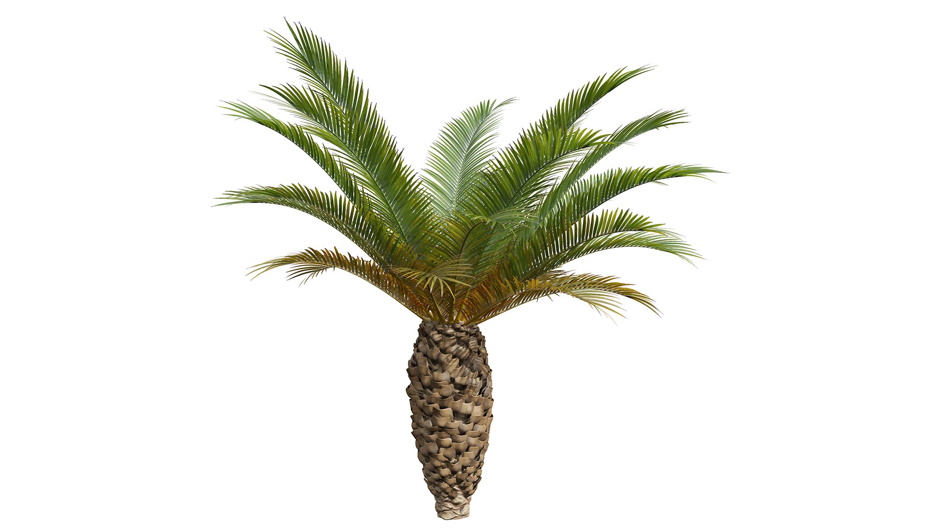 New Plant High Detail Phoenix Canariensis Small 3D Model - TurboSquid ...