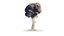 Nuke Explosion vdb