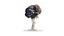 Nuke Explosion vdb