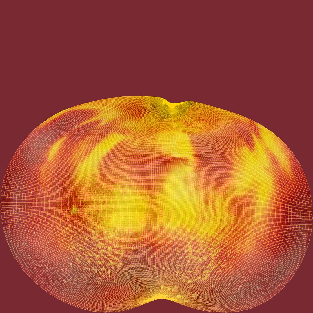 nectarines 01-02 hi polys model https://p.turbosquid.com/ts-thumb/83/kXA0iW/7EBGBD1e/unwrap/jpg/1569949099/1920x1080/fit_q87/51ebbe48079a902b90b0fecde4054c96e9674ae1/unwrap.jpg