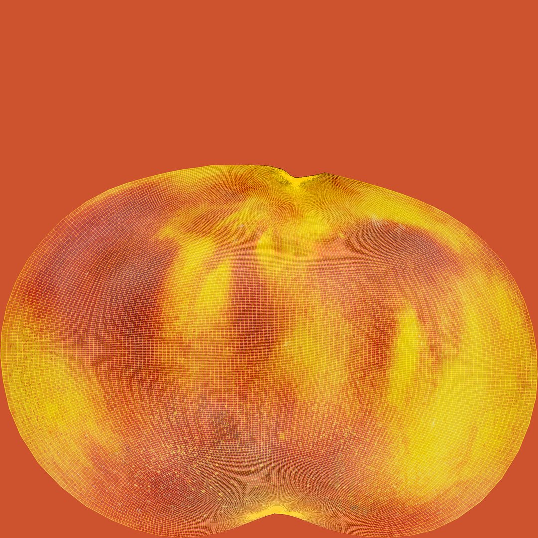 nectarines 01-02 hi polys model https://p.turbosquid.com/ts-thumb/83/kXA0iW/QDh5kDfn/unwrap/jpg/1569949015/1920x1080/fit_q87/2059a26e6558daa85a890e5e5704158d954021e9/unwrap.jpg