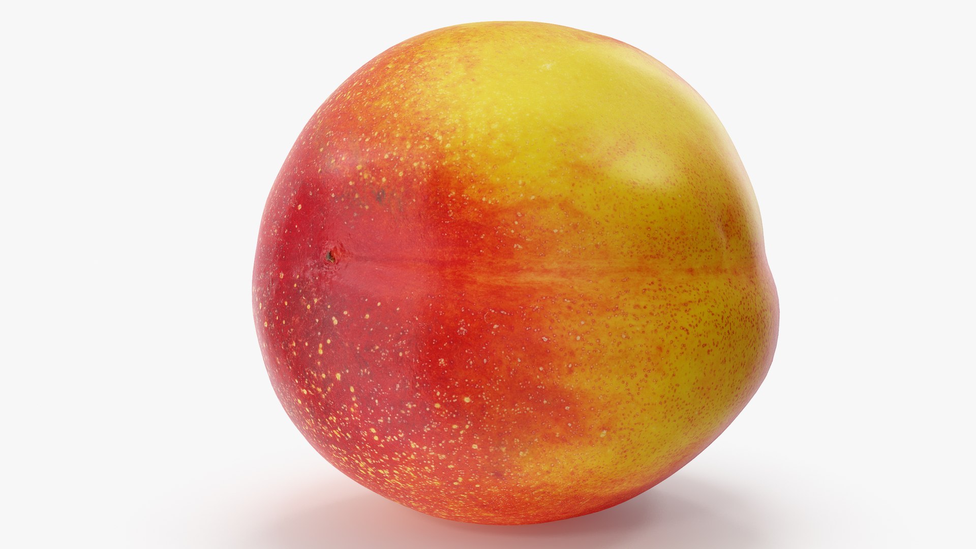 nectarines 01-02 hi polys model https://p.turbosquid.com/ts-thumb/83/kXA0iW/Tmbw1T8K/a2_0003copy/jpg/1569949015/1920x1080/fit_q87/15dfa4af6d5dd178c5fc1a1a3283908091f20b43/a2_0003copy.jpg