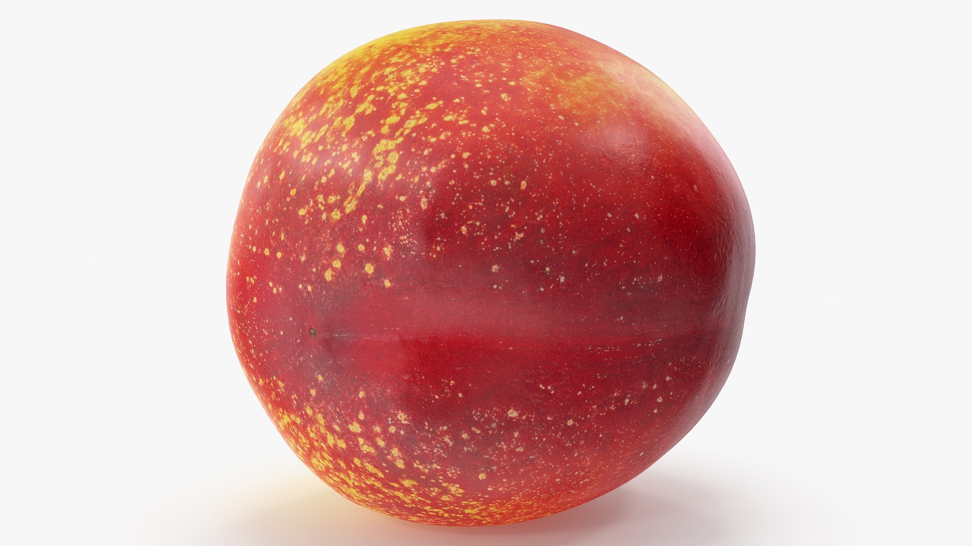 nectarines 01-02 hi polys model https://p.turbosquid.com/ts-thumb/83/kXA0iW/ZeE943rT/a2_0003copy/jpg/1569949099/1920x1080/fit_q87/583e1be5c42b5d15afbd55f381b54e1ccbaa2935/a2_0003copy.jpg