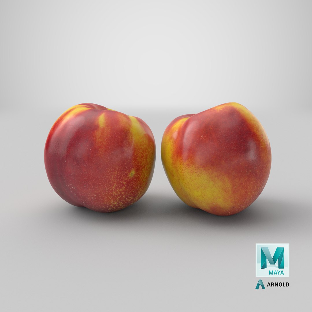 nectarines 01-02 hi polys model https://p.turbosquid.com/ts-thumb/83/kXA0iW/fZCUo7Y0/stemcell_maya_arnold_render/png/1570248299/1920x1080/fit_q87/8992479f379d068e8d9864f58dced0a143c7ce3e/stemcell_maya_arnold_render.jpg