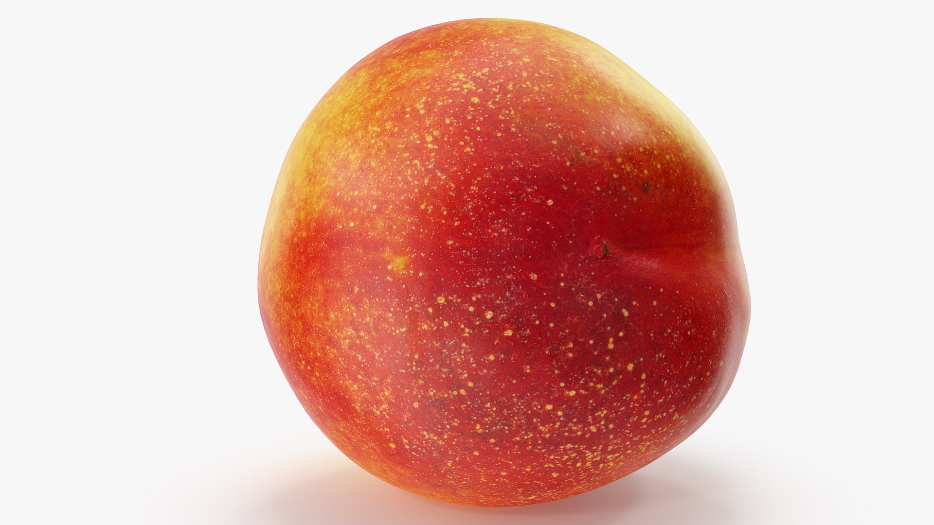 nectarines 01-02 hi polys model https://p.turbosquid.com/ts-thumb/83/kXA0iW/gLkMwE8V/a2_0006copy/jpg/1569949015/1920x1080/fit_q87/b977a8574b9605e6ec449046aee61ae933759e6a/a2_0006copy.jpg