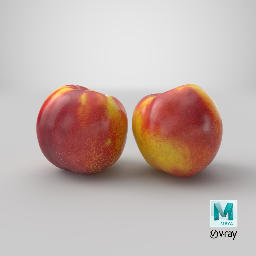 nectarines 01-02 hi polys model https://p.turbosquid.com/ts-thumb/83/kXA0iW/wXWxZ0y1/stemcell_maya_vray_render/png/1570248307/1920x1080/fit_q87/8c69022d0e7812209c8ecc592ce8d5a501b4968e/stemcell_maya_vray_render.jpg