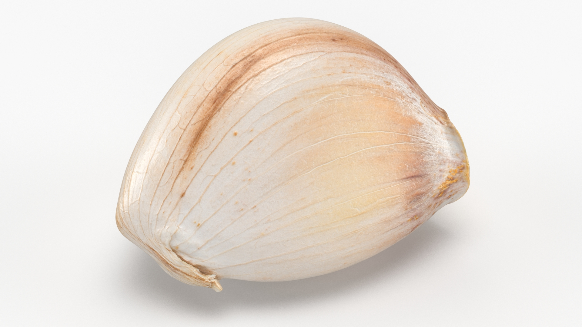 3D Garlic Clove Set https://p.turbosquid.com/ts-thumb/83/qeDslf/D9/garlicclove01/jpg/1638384555/1920x1080/turn_fit_q99/a02e45d52a62fd39df20f812c88b1cbc35a9f75a/garlicclove01-1.jpg