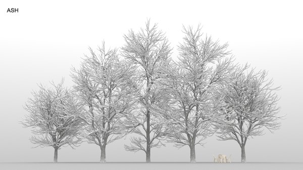 100 trees 3d max