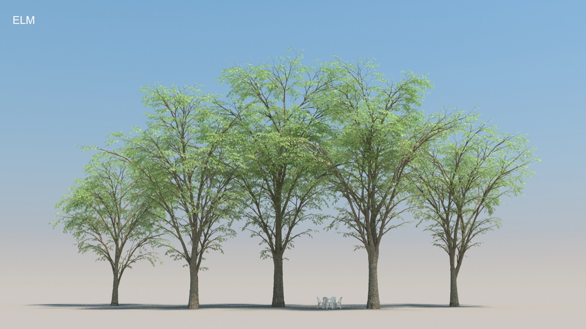 100 trees 3d max https://p.turbosquid.com/ts-thumb/83/rMdV4a/5S/elmsmr/jpg/1666607890/1920x1080/fit_q87/3c0595a81082f1487cdba9512d43e8e9b7996779/elmsmr.jpg