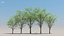 100 + 100 alberi comuni