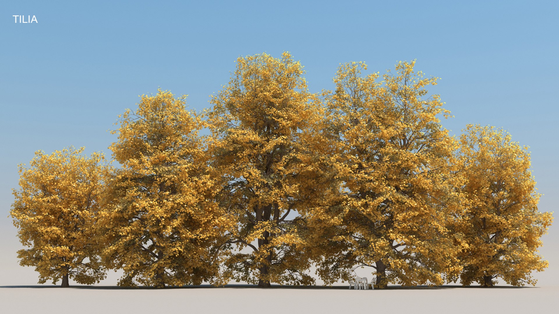 100 trees 3d max https://p.turbosquid.com/ts-thumb/83/rMdV4a/7F/tiliaaut/jpg/1666606296/1920x1080/fit_q87/3ed684d6106f70df87b9d8532e8e8dbc24972fa4/tiliaaut.jpg