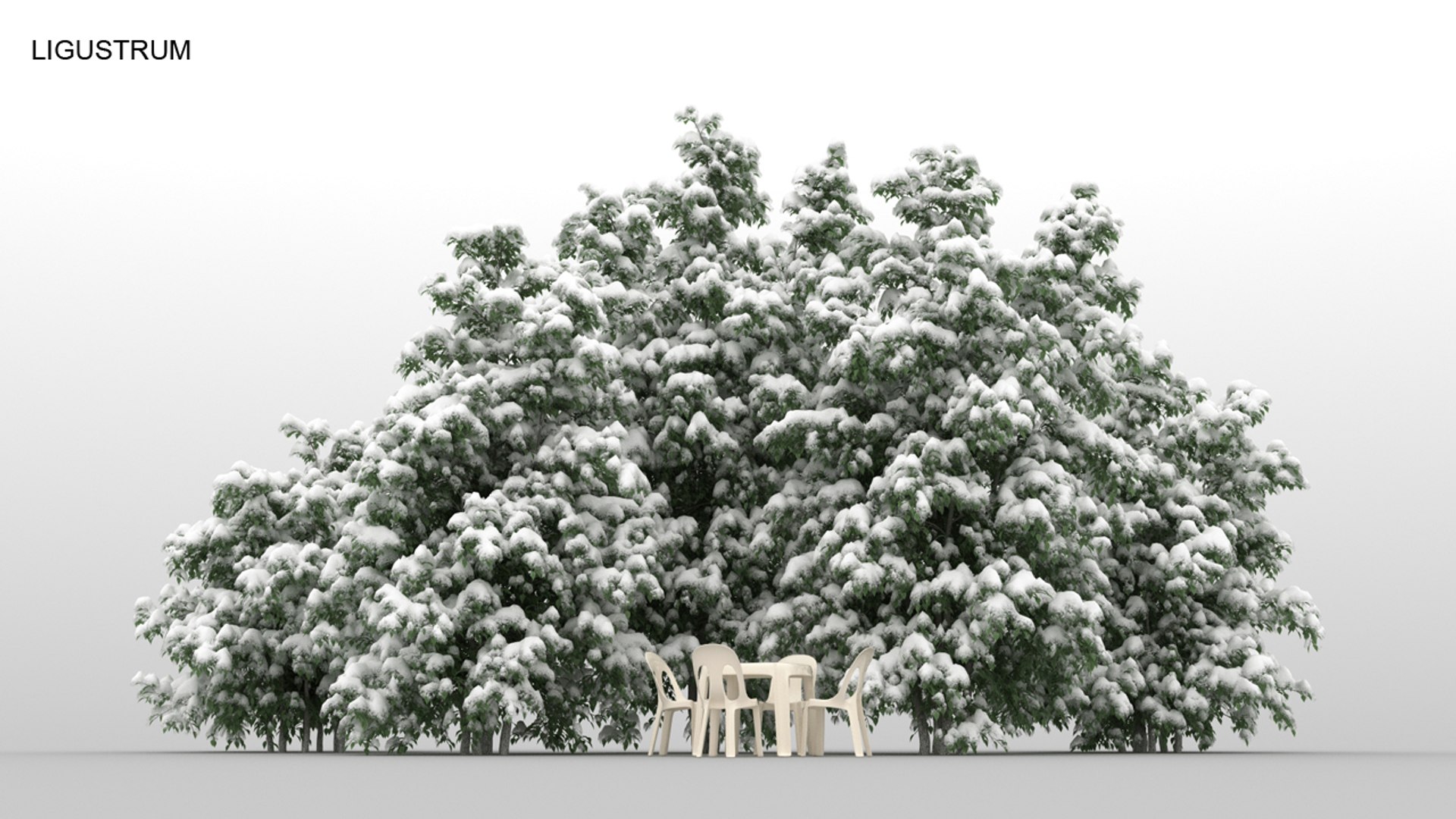 100 trees 3d max https://p.turbosquid.com/ts-thumb/83/rMdV4a/8w/ligustrumwnt/jpg/1666607676/1920x1080/fit_q87/efe8ed7f0f5666d7540fb1ac85c456625ad4d09e/ligustrumwnt.jpg