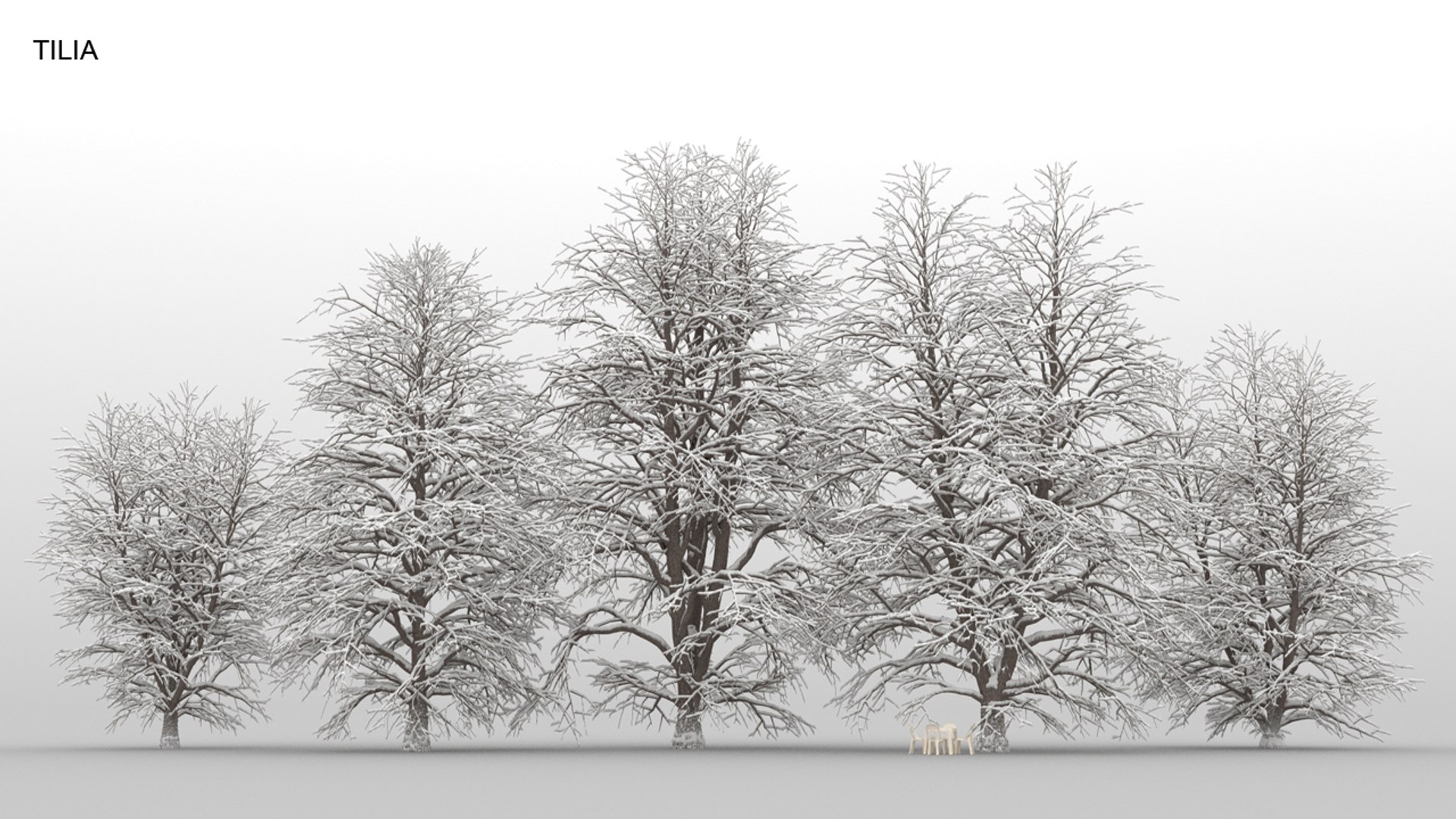 100 trees 3d max https://p.turbosquid.com/ts-thumb/83/rMdV4a/9M/tiliawnt/jpg/1666606285/1920x1080/fit_q87/b34bb2c7202397b204281500f203e6e2ae6cf018/tiliawnt.jpg