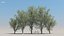 100 + 100 alberi comuni