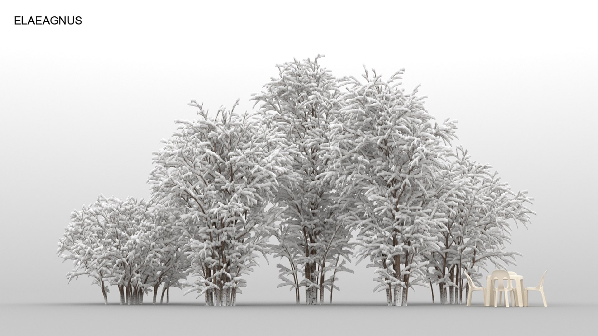 100 trees 3d max https://p.turbosquid.com/ts-thumb/83/rMdV4a/BS/elaeagnuswnt/jpg/1666607829/1920x1080/fit_q87/911d0268b53e1e0580aa6e70d7a428a520bd0963/elaeagnuswnt.jpg
