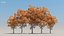 100 + 100 alberi comuni