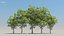 100 + 100 alberi comuni
