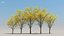 100 + 100 alberi comuni