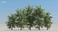 100 + 100 alberi comuni