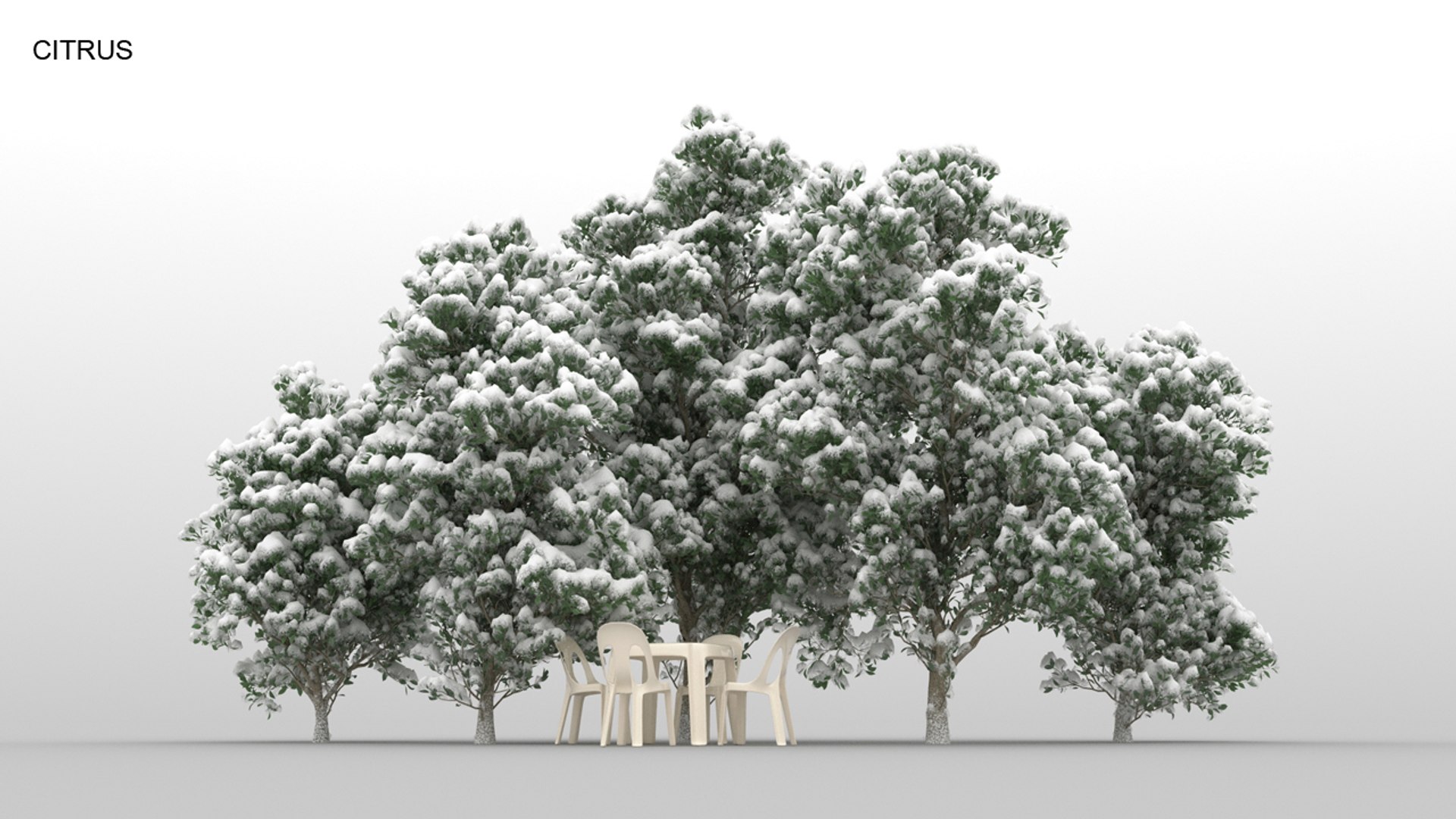 100 trees 3d max https://p.turbosquid.com/ts-thumb/83/rMdV4a/MP/citruswnt/jpg/1666608151/1920x1080/fit_q87/c9936a7645719dcdc51a2e1a95382e247ab192c7/citruswnt.jpg