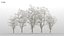 100 + 100 alberi comuni