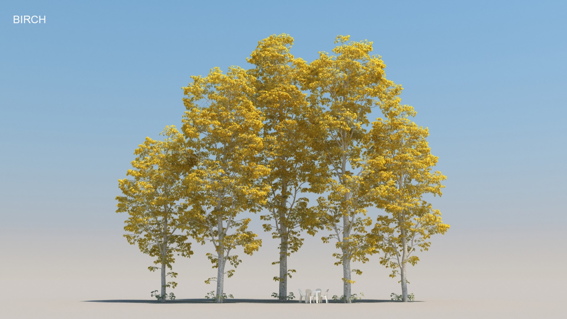 100 trees 3d max https://p.turbosquid.com/ts-thumb/83/rMdV4a/Nl/birchaut/jpg/1666608016/1920x1080/fit_q87/1dce21cfe3f90a87ded335b82851427431ca9b38/birchaut.jpg