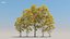 100 + 100 alberi comuni