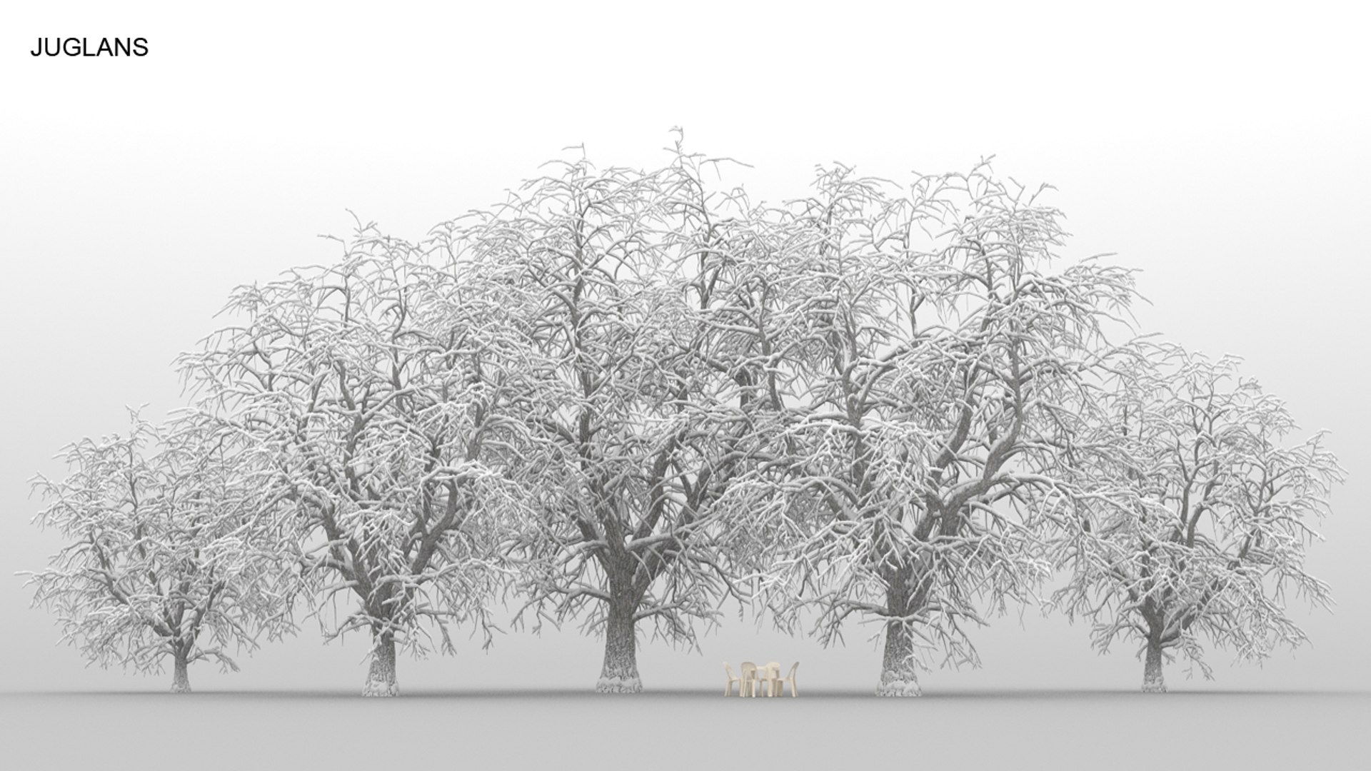 100 trees 3d max https://p.turbosquid.com/ts-thumb/83/rMdV4a/O3/juglanswnt/jpg/1666605973/1920x1080/fit_q87/7145b188e310e49f6a6737143a00f72c0b6a4dc4/juglanswnt.jpg