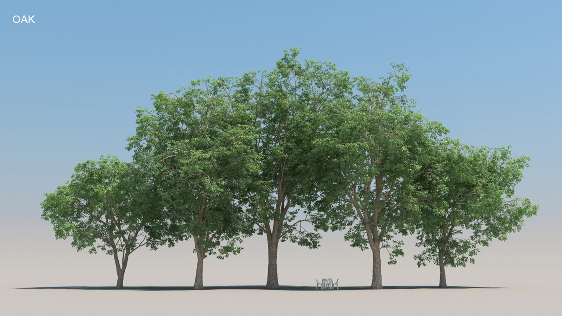 100 trees 3d max https://p.turbosquid.com/ts-thumb/83/rMdV4a/Or/oaksmr/jpg/1666608035/1920x1080/fit_q87/fd85761f60c92410d34941eaedcf1587cc265d87/oaksmr.jpg