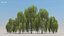 100 + 100 alberi comuni