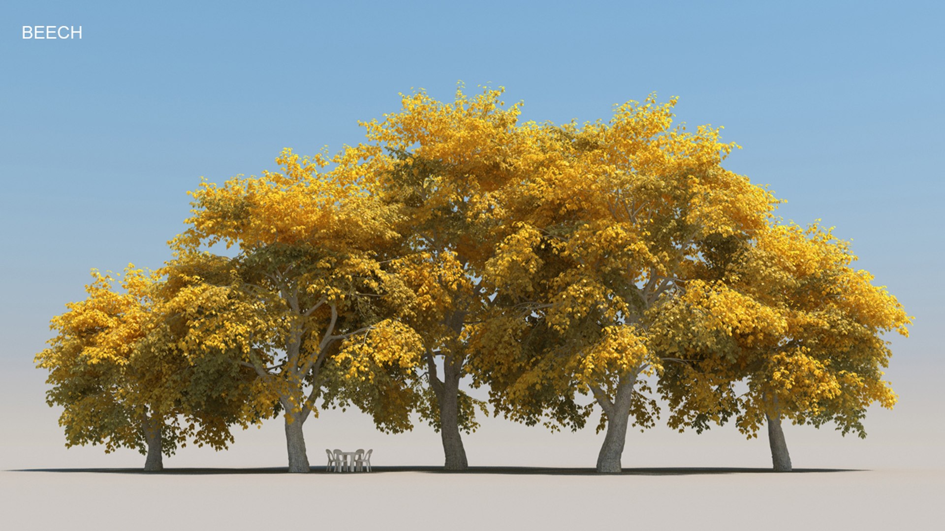 100 trees 3d max https://p.turbosquid.com/ts-thumb/83/rMdV4a/W4/beechaut/jpg/1666607948/1920x1080/fit_q87/9d6429f47b0c49e68f48b31e5c2567f52fd721b7/beechaut.jpg