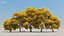 100 + 100 alberi comuni