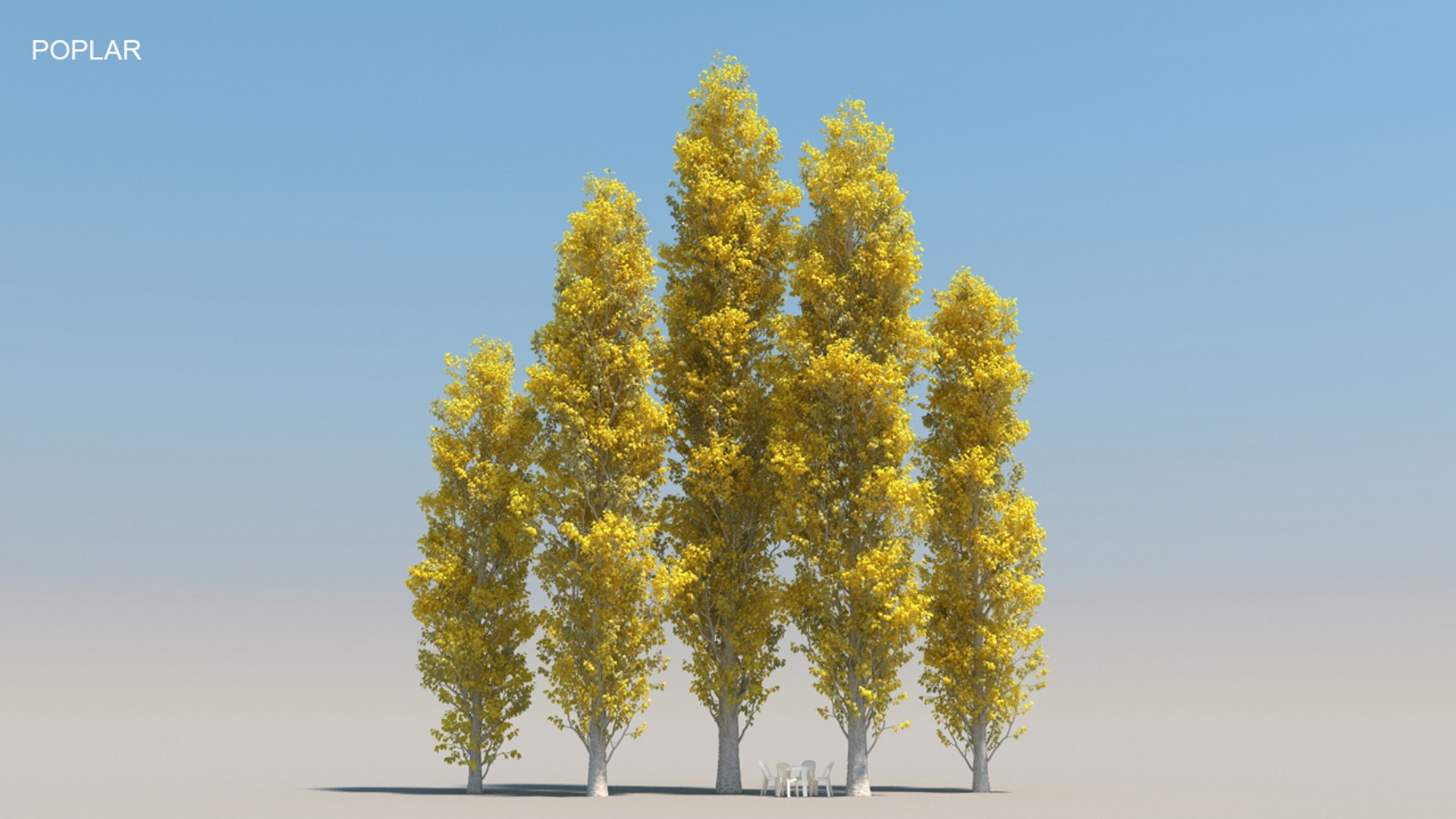 100 trees 3d max https://p.turbosquid.com/ts-thumb/83/rMdV4a/Xg/poplaraut/jpg/1666608122/1920x1080/fit_q87/57ad2bfbc05abe87269cc44f8b70f1437635e4db/poplaraut.jpg