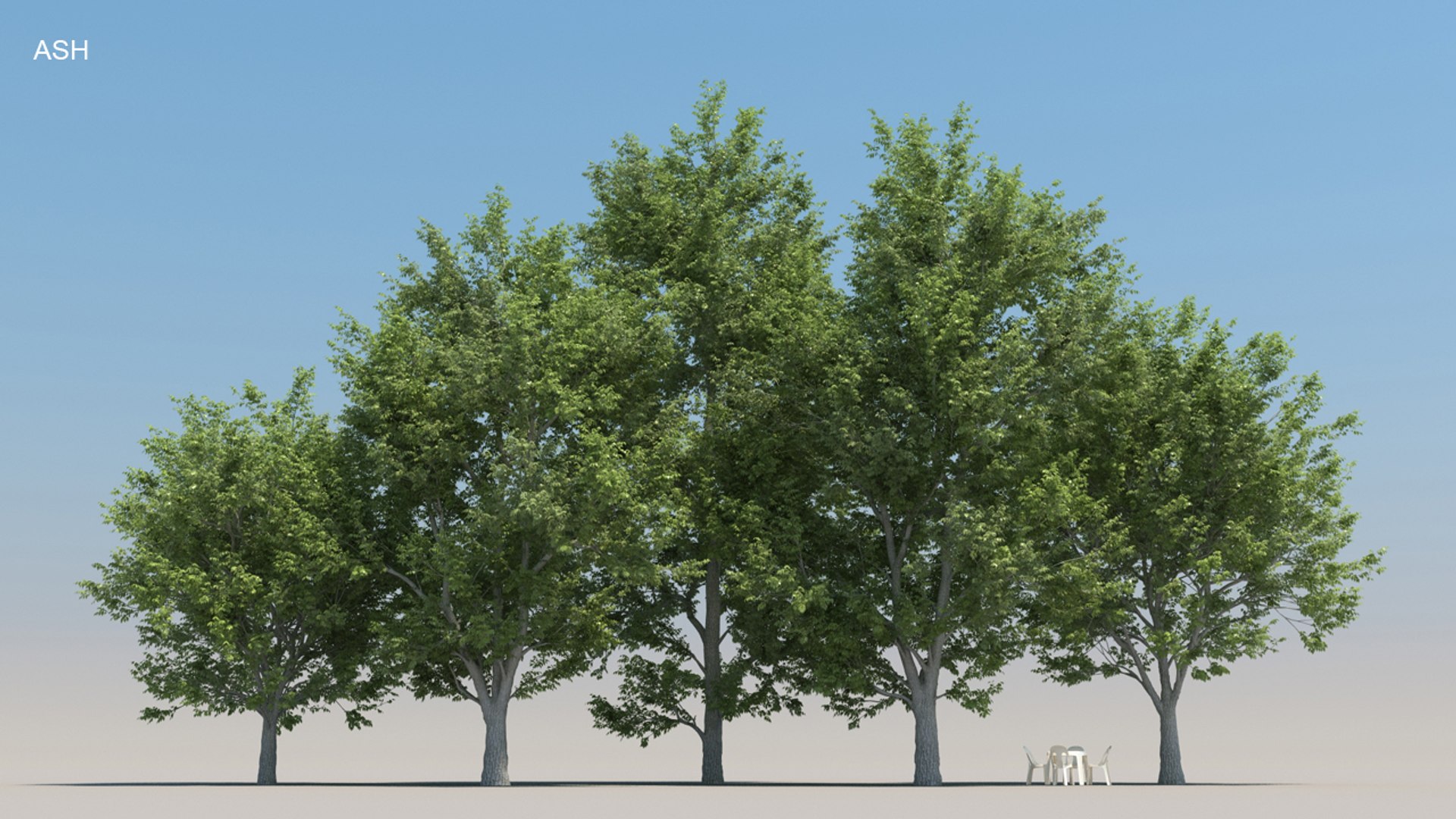 100 trees 3d max https://p.turbosquid.com/ts-thumb/83/rMdV4a/Yc/ashsmr/jpg/1666607694/1920x1080/fit_q87/119d2e5e42e64ff300707145c30abac746570f78/ashsmr.jpg
