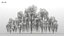 100 + 100 alberi comuni
