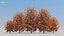 100 + 100 alberi comuni