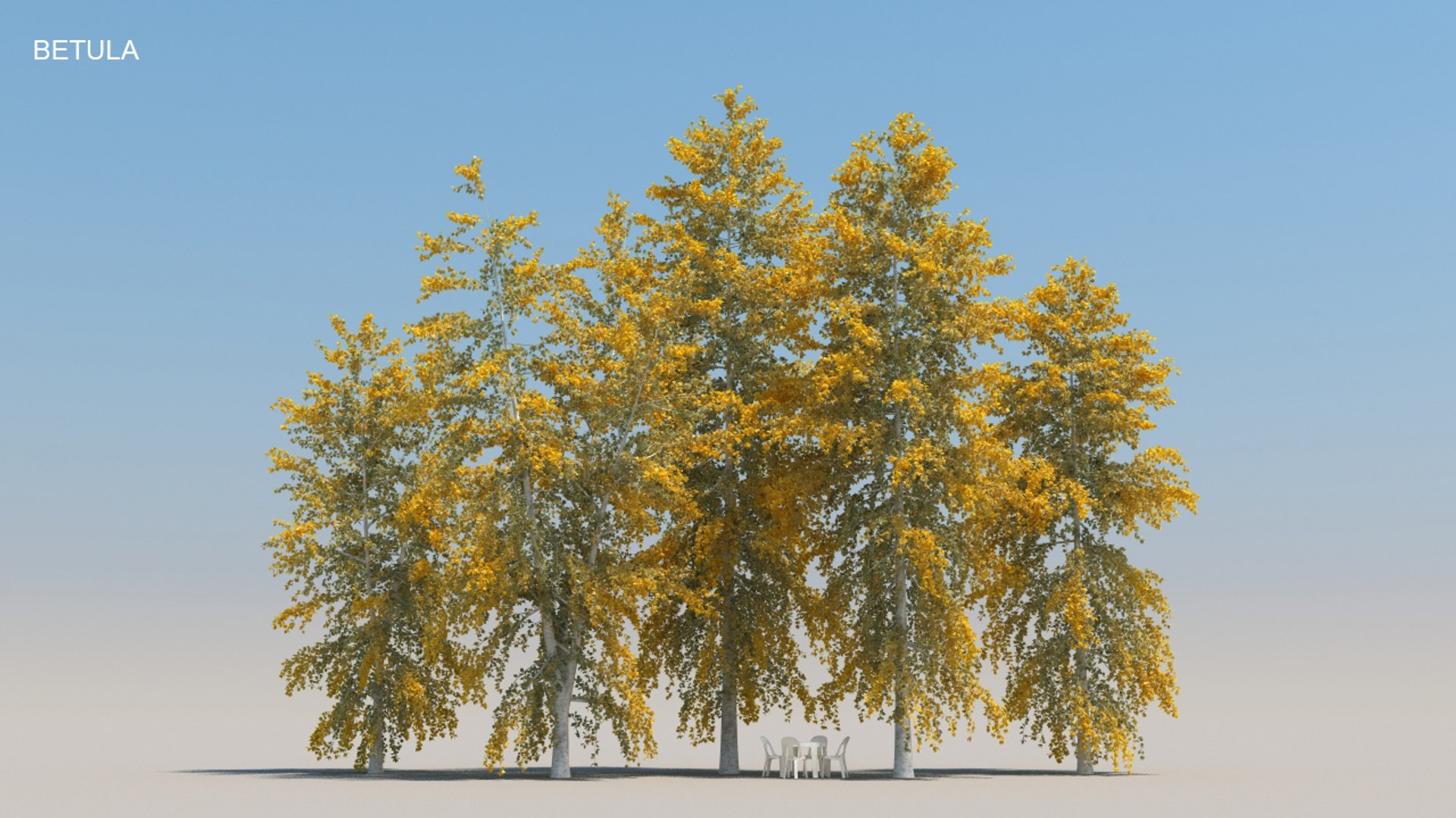 100 trees 3d max https://p.turbosquid.com/ts-thumb/83/rMdV4a/ZW/betulaaut/jpg/1666605941/1920x1080/fit_q87/f4968c6413228f9207c175732ecf9a5e67f2eb82/betulaaut.jpg