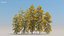 100 + 100 alberi comuni