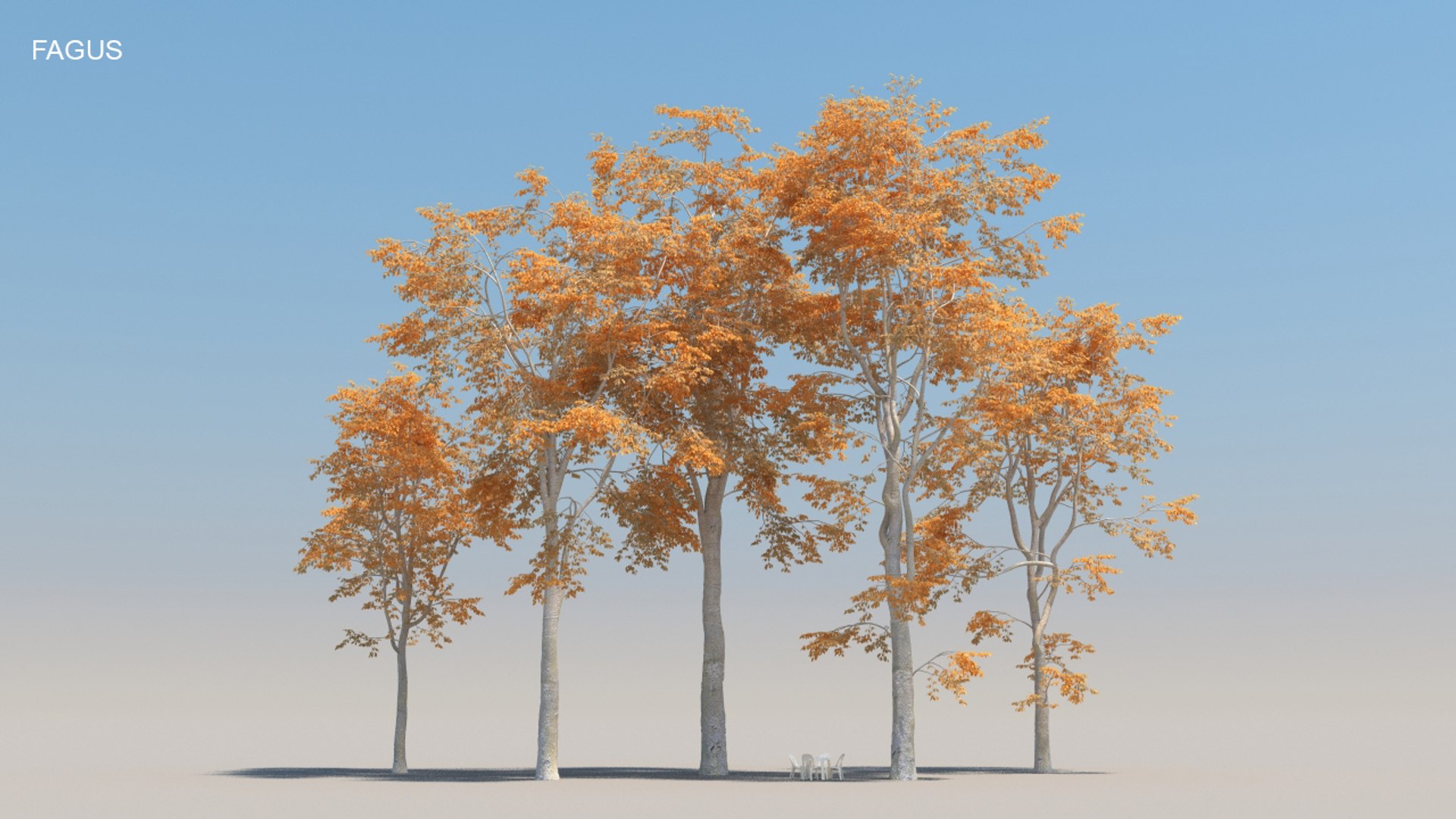 100 trees 3d max https://p.turbosquid.com/ts-thumb/83/rMdV4a/cI/fagusaut/jpg/1666607784/1920x1080/fit_q87/16fc609f1231d9864ab2d2657cd450711770115d/fagusaut.jpg