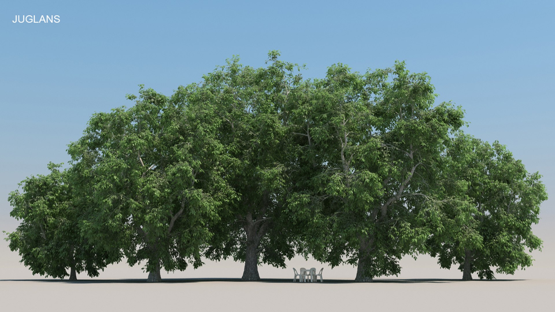 100 trees 3d max https://p.turbosquid.com/ts-thumb/83/rMdV4a/cq/juglanssmr/jpg/1666605962/1920x1080/fit_q87/74d95c521e39469887b4d888510c93037cbacdec/juglanssmr.jpg