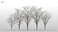 100 + 100 alberi comuni
