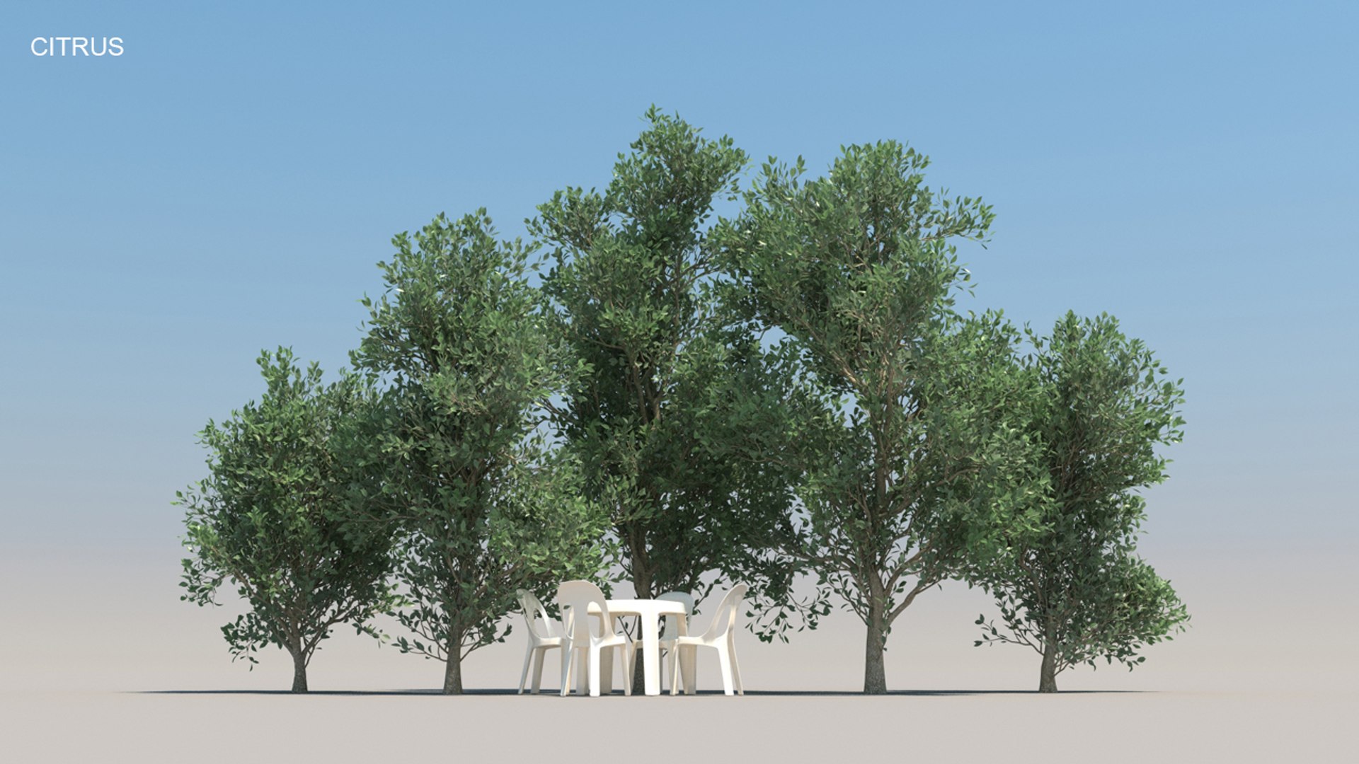 100 trees 3d max https://p.turbosquid.com/ts-thumb/83/rMdV4a/fu/citrussmr/jpg/1666608139/1920x1080/fit_q87/0adf64c1fa9e8f61226ff140779afc54d05f6aaf/citrussmr.jpg