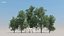 100 + 100 alberi comuni