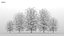 100 + 100 alberi comuni